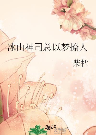 冰山总裁的神级高手