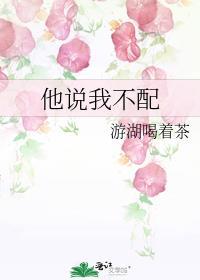他说我不配第几章开始火葬场