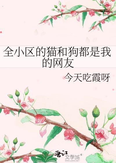 小区里的猫和狗