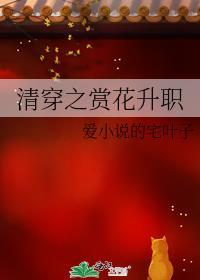 清穿之赏花升职 全文阅读