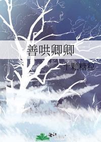 善哄卿卿晋江