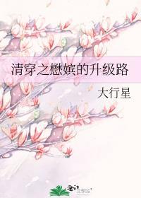清穿之懋嫔的升级路全文免费阅读无防盗