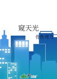 窥天光by骨月色刀
