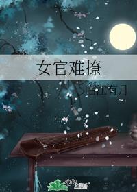 女官很忙全文免费阅读