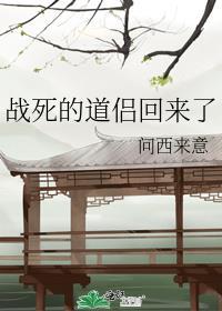 战死的道侣回来了 作者问西来意