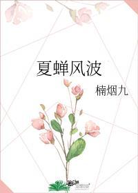 夏蝉风波作者楠烟九