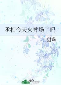 丞相今天火葬场了吗免费阅读