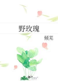 野玫瑰鹿时安的