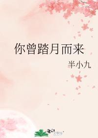 你曾踏月而来 半小九