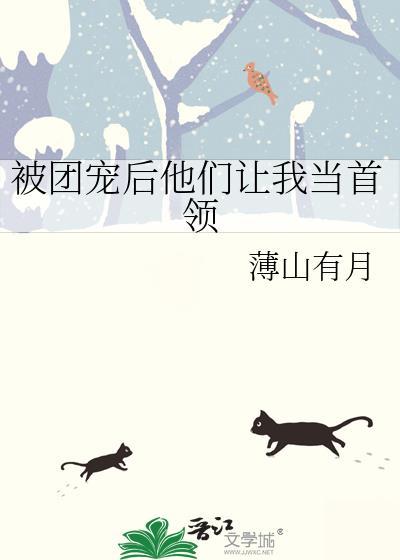 被团宠后他们让我当首领神宫烛