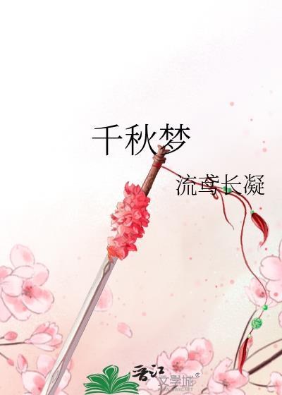 千秋梦溪石TXT百度分享