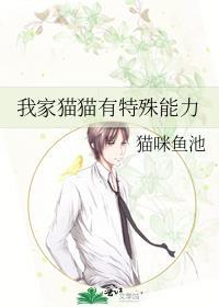我家猫有超能力
