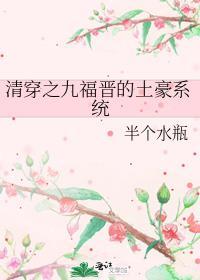 清穿之九福晋日常84