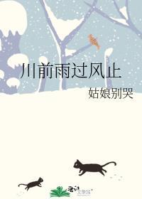 川前雨过风止txt