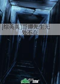 哥谭hp