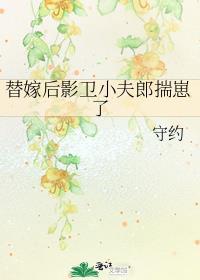 影卫替身为后双洁吗