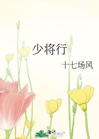 少将行by十七场风百度