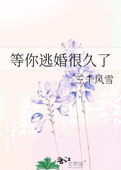 等你逃婚很久了讲的什么