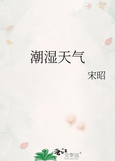 潮湿天气宋昭讲什么