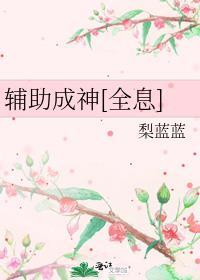 辅助lqs