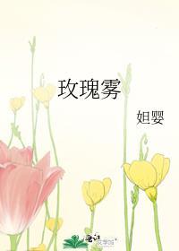 玫瑰雾免费阅读