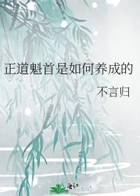 正道魁首是如何养成的有cp吗