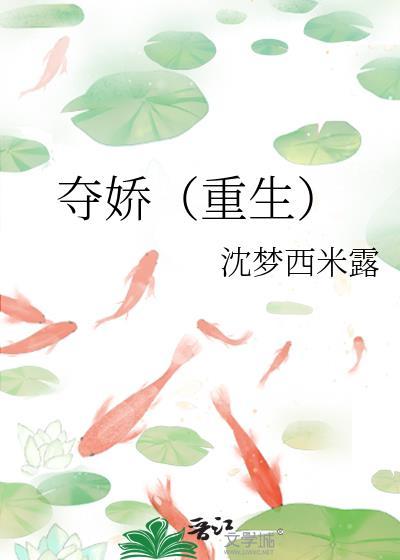 夺娇讲的什么