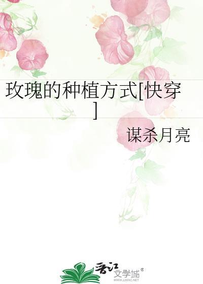 玫瑰的栽种常识