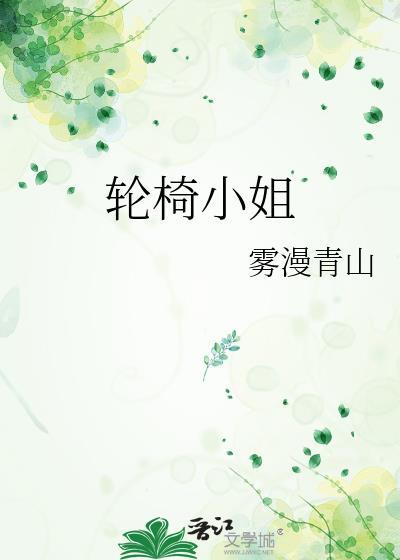 轮椅小姐电视剧角色