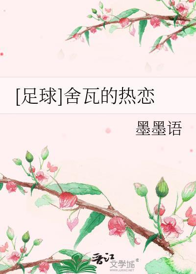 舍瓦国家队表现