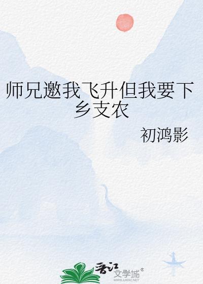 师兄去了我便来替他
