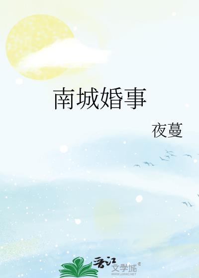 南城婚事傅沉苏暖