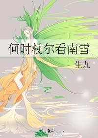 何时杖尔看南雪 全诗的意思