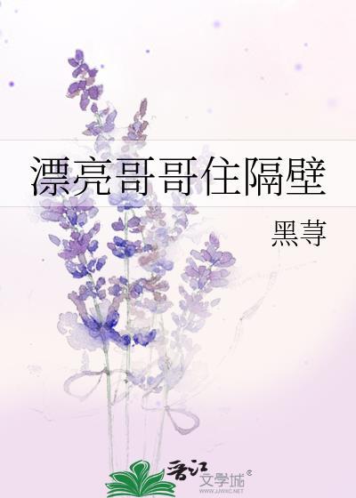 书名漂亮哥哥