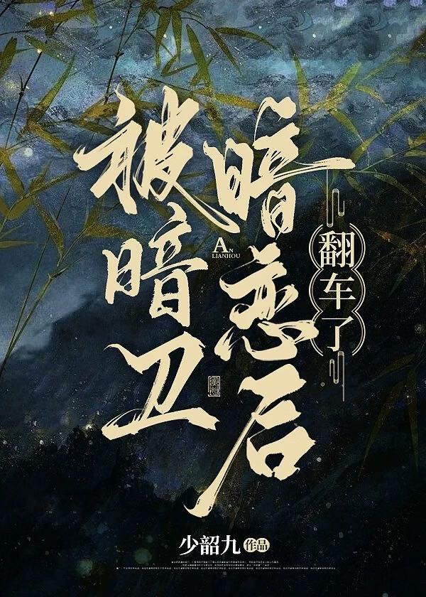 暗卫回去受训