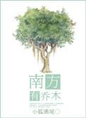 南方有乔木片头曲