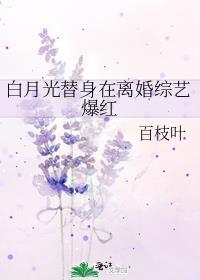 白月光替身在离婚综艺爆红免费