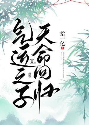 气运之子天命回归格格党