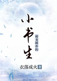小书生千里迢迢认娘子是什么电视剧