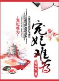 宠妃难为 天域
