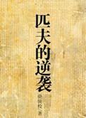 匹夫的逆袭txt全本