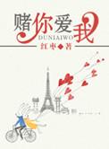 我赌你爱我可是我输了是什么歌