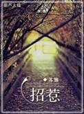 招惹男主