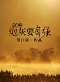 穿越炮灰在九零年代txt