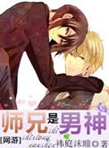 师兄是男神写的是什么