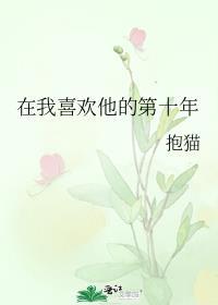 在我喜欢他的第十年by抱猫