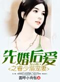 先婚后爱 顾少 慢点宠
