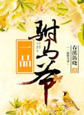 一品驸马爷晋江