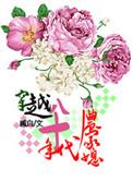 穿越之八十年代农家媳