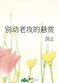 别动老攻的悬赏 剑止 剧透